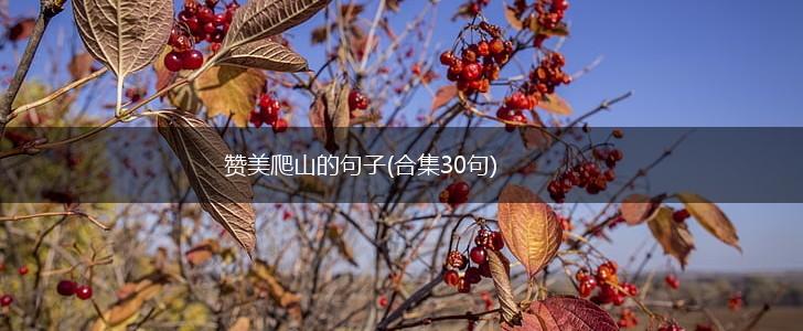 赞美爬山的句子(合集30句),第1张