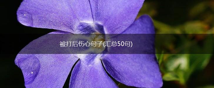 被打后伤心句子(汇总50句),第1张