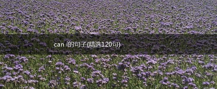 can i的句子(精选120句),第1张