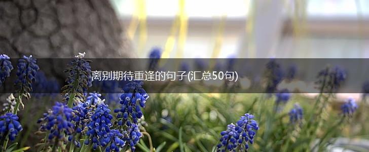 离别期待重逢的句子(汇总50句),第1张