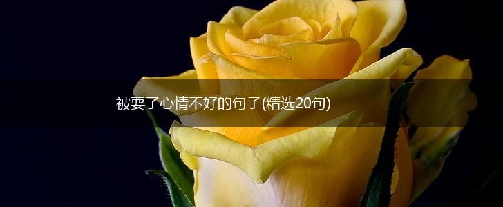 被耍了心情不好的句子(精选20句),第1张