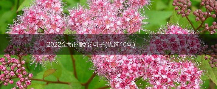 2022全新的晚安句子(优选40句),第1张