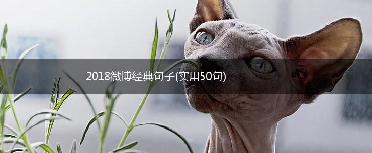 2018微博经典句子(实用50句),第1张