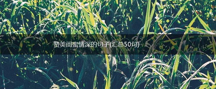 赞美闺蜜情深的句子(汇总50句),第1张