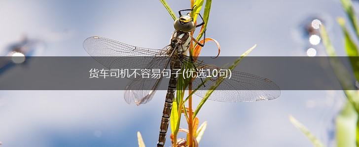 货车司机不容易句子(优选10句),第1张