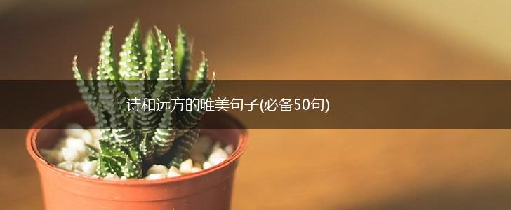 诗和远方的唯美句子(必备50句),第1张