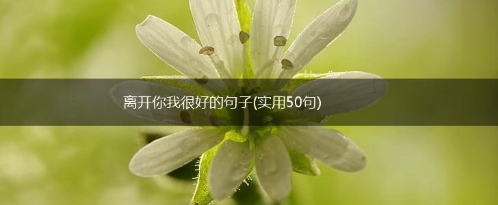 离开你我很好的句子(实用50句),第1张