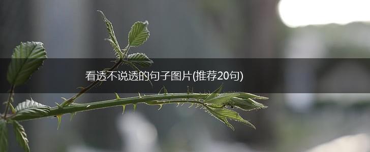 看透不说透的句子图片(推荐20句),第1张
