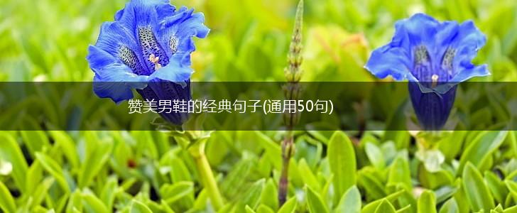 赞美男鞋的经典句子(通用50句),第1张