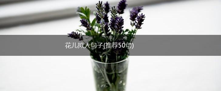 花儿拟人句子(推荐50句),第1张