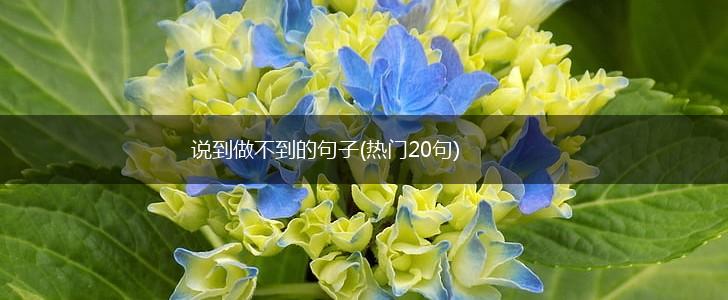 说到做不到的句子(热门20句),第1张