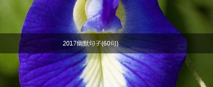 2017幽默句子(60句),第1张