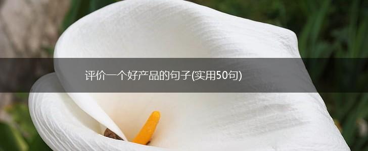 评价一个好产品的句子(实用50句),第1张