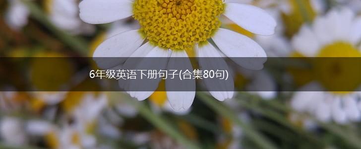 6年级英语下册句子(合集80句),第1张