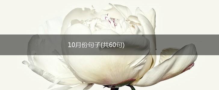 10月份句子(共60句),第1张