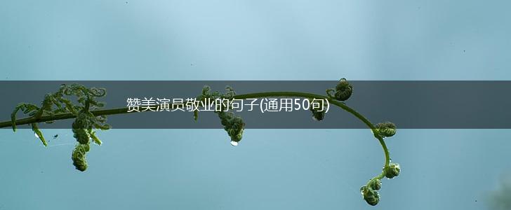 赞美演员敬业的句子(通用50句),第1张