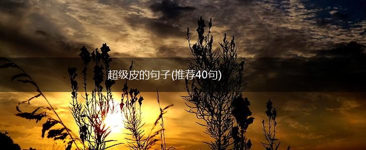 超级皮的句子(推荐40句),第1张