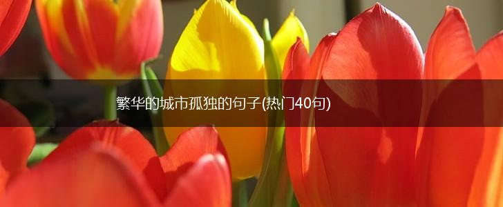 繁华的城市孤独的句子(热门40句),第1张