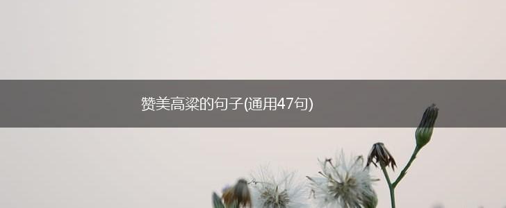 赞美高粱的句子(通用47句),第1张