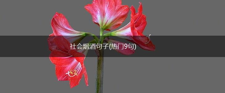社会烟酒句子(热门9句),第1张