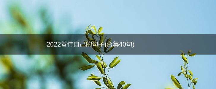 2022善待自己的句子(合集40句),第1张