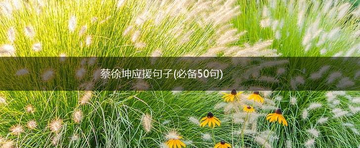 蔡徐坤应援句子(必备50句),第1张