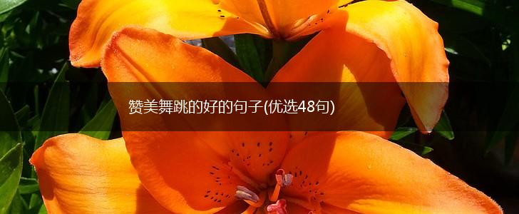 赞美舞跳的好的句子(优选48句),第1张