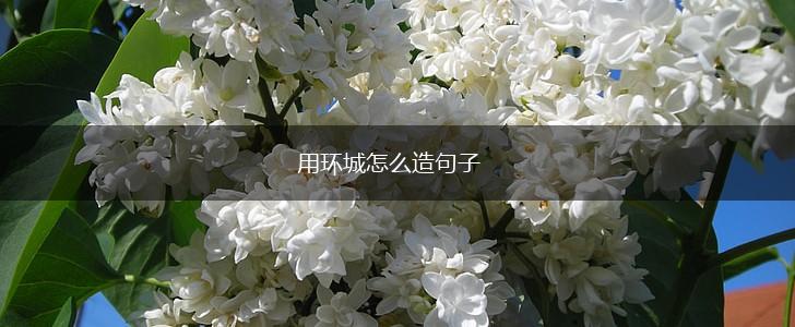 用环城怎么造句子,第1张