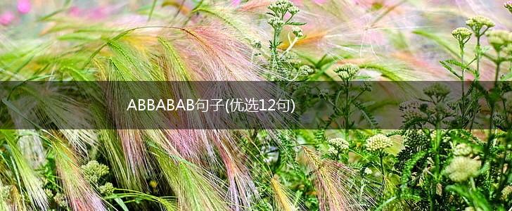 ABBABAB句子(优选12句),第1张