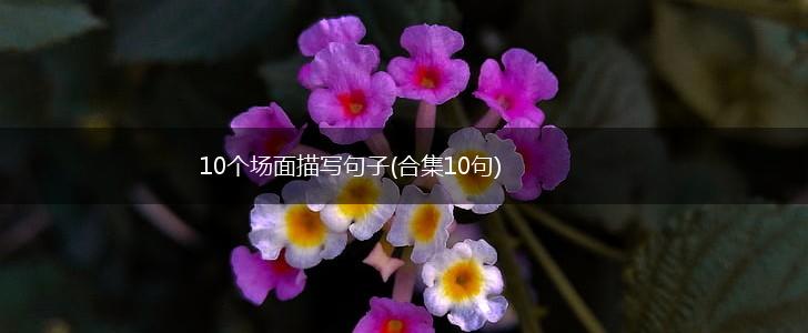 10个场面描写句子(合集10句),第1张