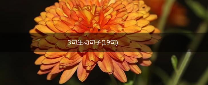 3句生动句子(19句),第1张