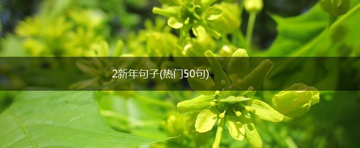 2新年句子(热门50句),第1张