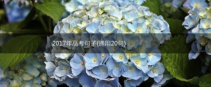 2017年高考句子(通用20句),第1张