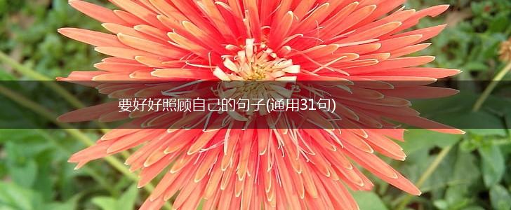 要好好照顾自己的句子(通用31句),第1张