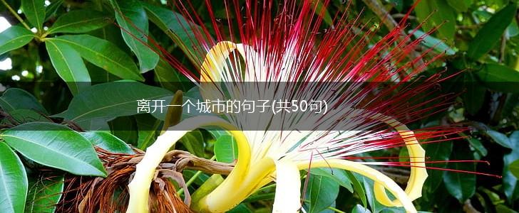 离开一个城市的句子(共50句),第1张