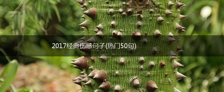 2017经典伤感句子(热门50句),第1张