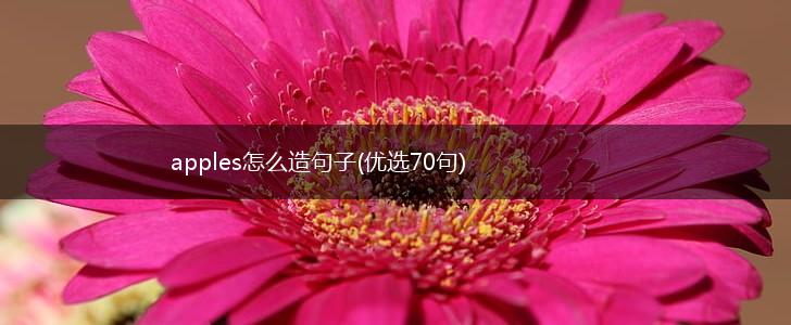 apples怎么造句子(优选70句),第1张