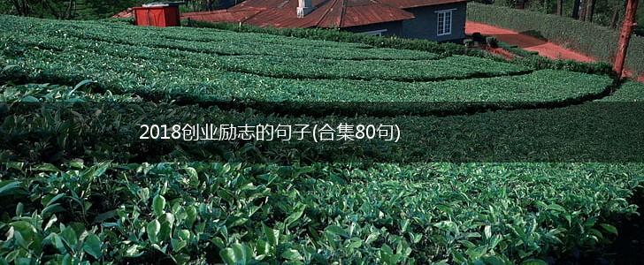 2018创业励志的句子(合集80句),第1张