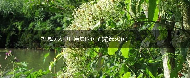 祝愿病人早日康复的句子(精选50句),第1张