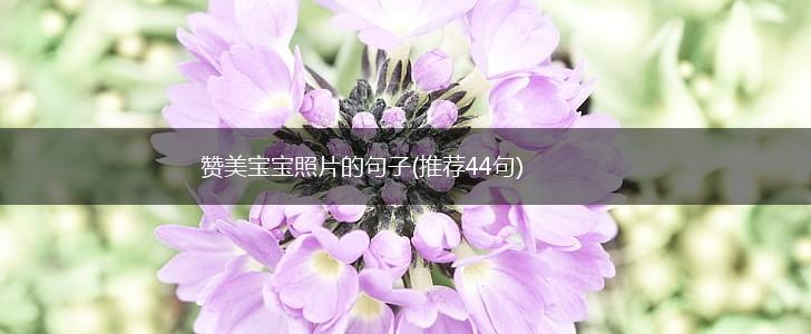 赞美宝宝照片的句子(推荐44句),第1张