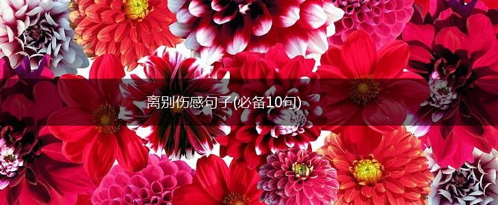 离别伤感句子(必备10句),第1张