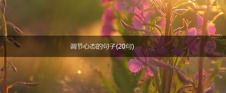 调节心态的句子(20句),第1张