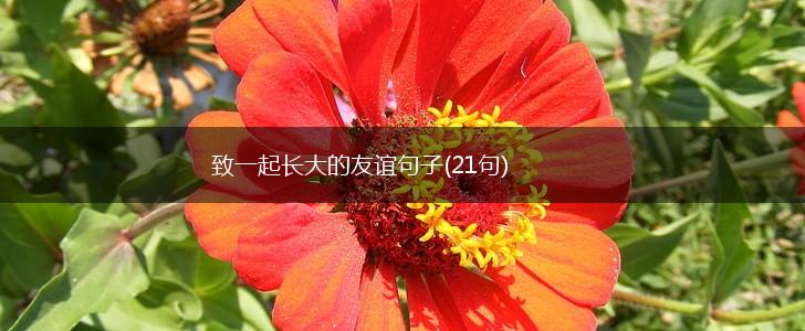 致一起长大的友谊句子(21句),第1张