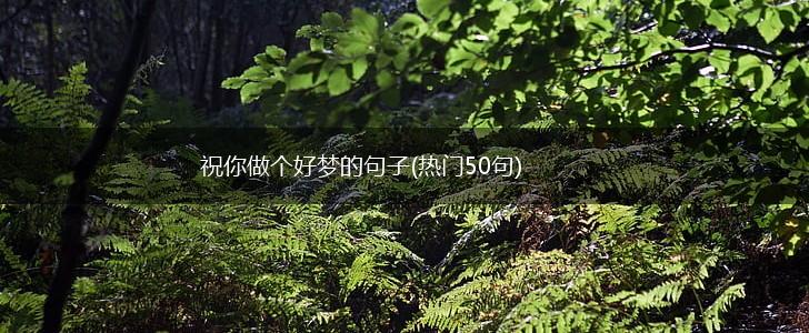 祝你做个好梦的句子(热门50句),第1张