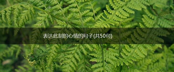 表达此刻的心情的句子(共50句),第1张