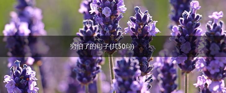 穷怕了的句子(共50句),第1张