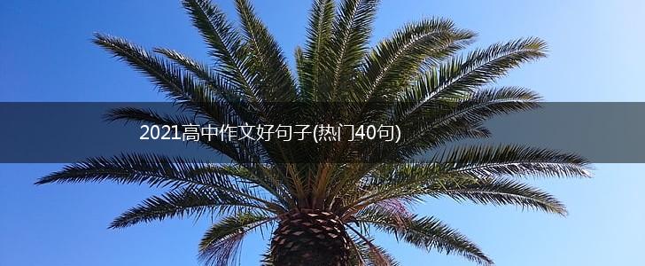 2021高中作文好句子(热门40句),第1张