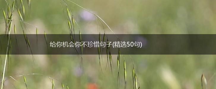 给你机会你不珍惜句子(精选50句),第1张