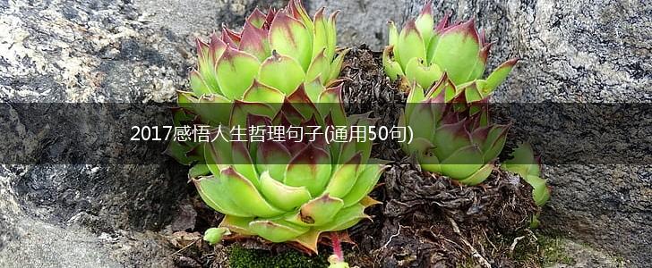 2017感悟人生哲理句子(通用50句),第1张