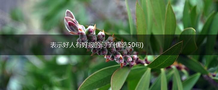 表示好人有好报的句子(优选50句),第1张